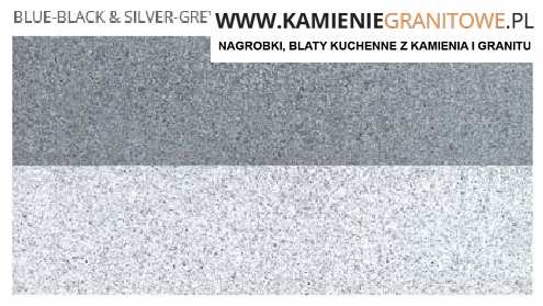 busy Niemcy Polska Dzierżoniów