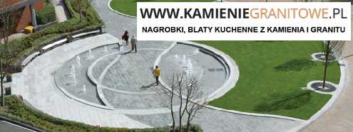 Niemcy Wrocław bus door to door