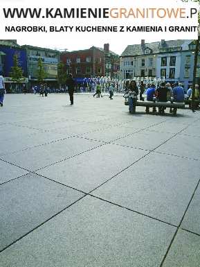 przewóz Wrocław Niemcy dobra opinia