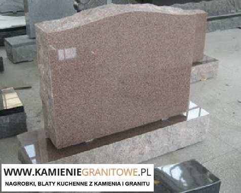 firma przewozowa busy Niemcy Wrocław