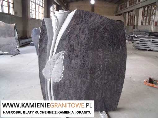 busy Holandia Wałcz ceny