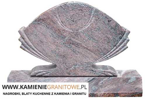 Holandia Polska bus Wałcz ceny