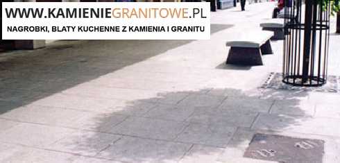 busy z Niemiec do Oleśnicy