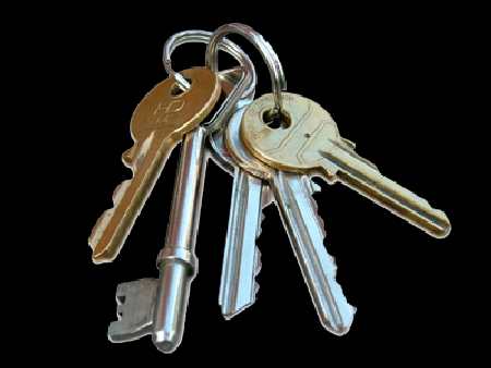 Piła płoty ogrodzenia